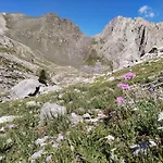 Castori 1