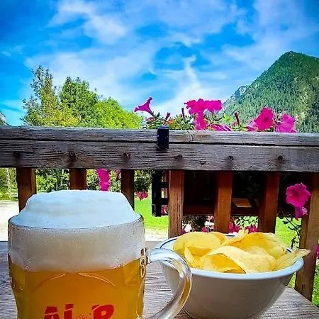 Apartman Castori 1 *