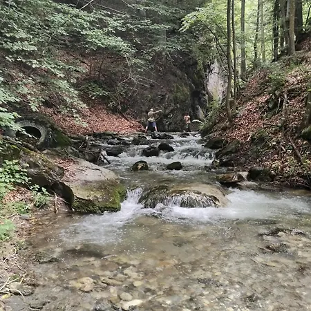 Lägenhet Castori 1 *