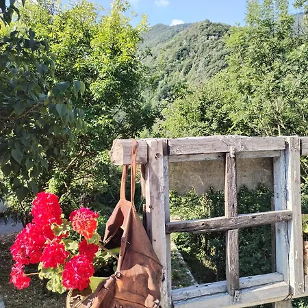 Castori 1 Lägenhet Prazzo