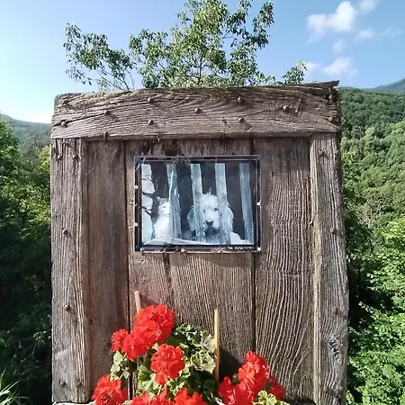 Lägenhet Castori 1 Prazzo