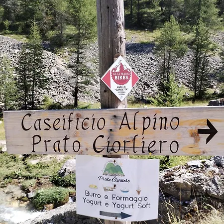Castori 1 * Prazzo