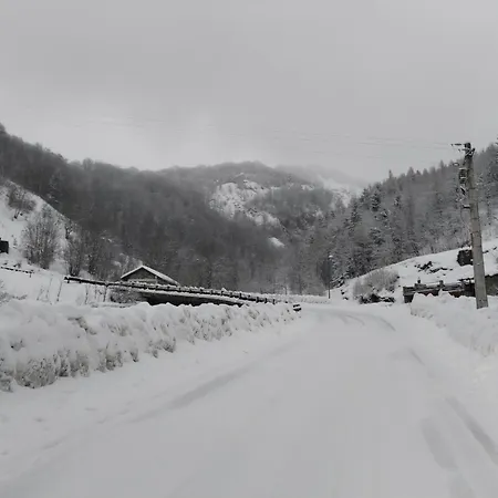 Lägenhet Castori 1 *