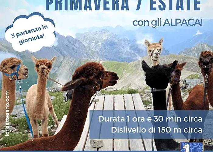 Апартаменты Castori 1