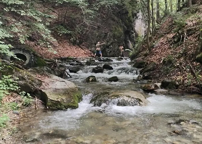 Апартаменты Castori 1 *