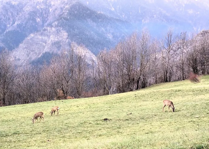 Castori 1 Апартаменты