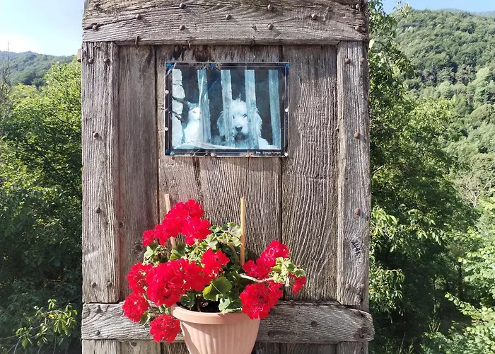 Castori 1 Апартаменты *