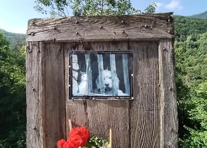 Апартаменты Castori 1 Prazzo