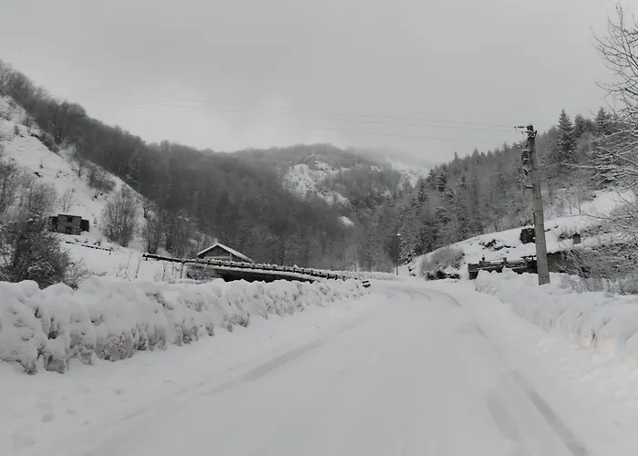 Апартаменты Castori 1 *